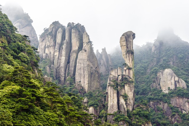 亚热直播截图预览0