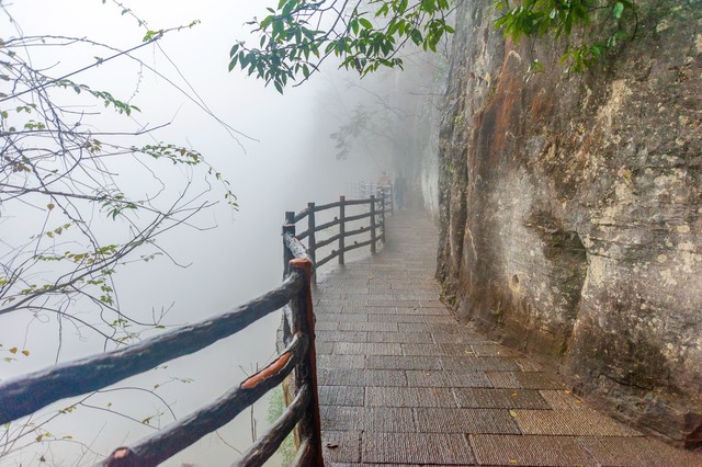 戴琳直播截图预览1