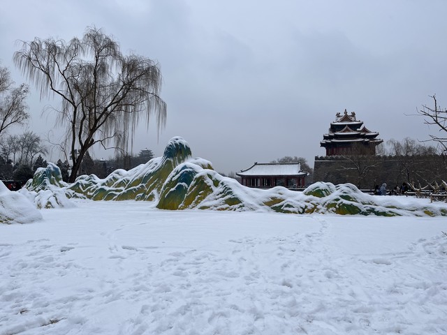 国蛋直播截图2