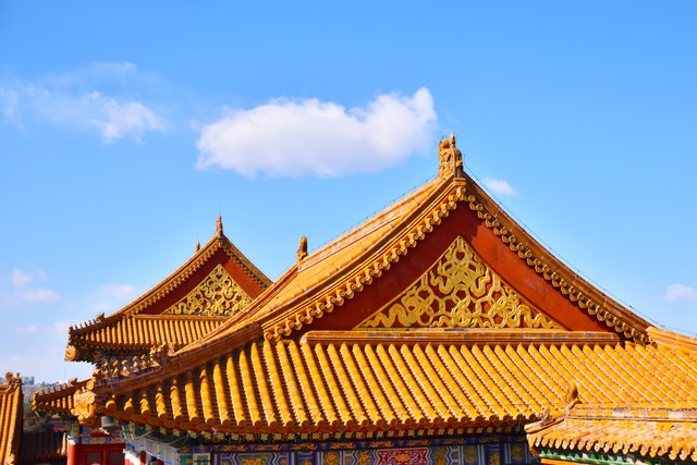 先进流媒体门户