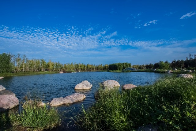 花束直播截图预览3