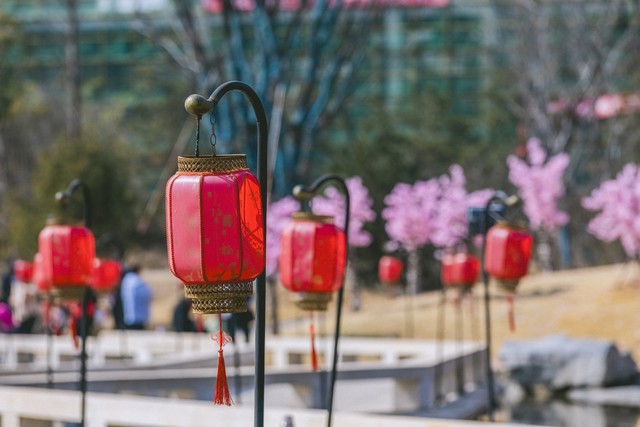 马昕直播截图0