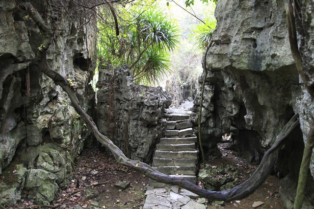 百色直播截图预览4