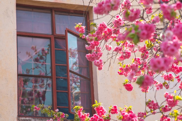 里弗斯：米德尔顿知道如何打好比赛 今晚他为球队奉献了一切-