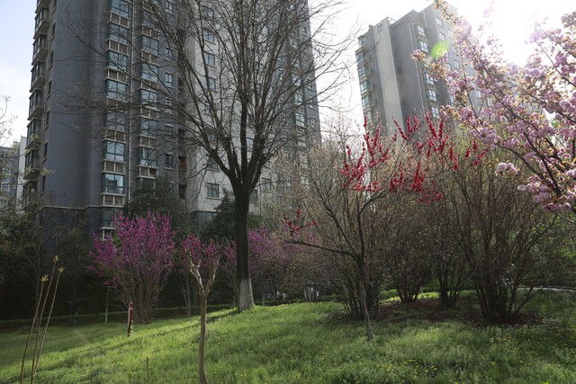 快速驱动解决方案