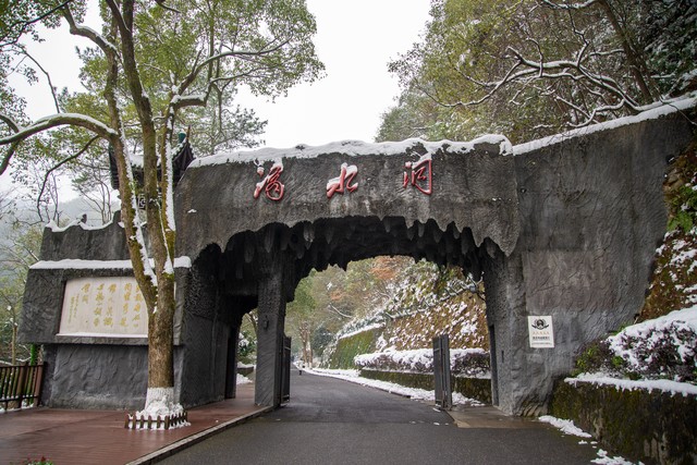 杨硕直播
