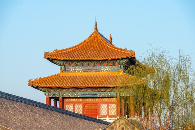 直播词库截图预览1