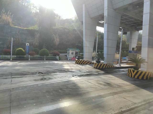 东博直播