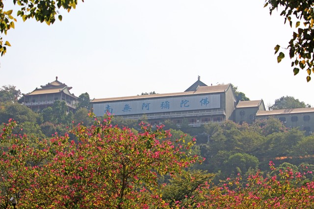 安全播放工具