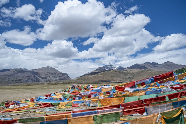 全能学习解决方案