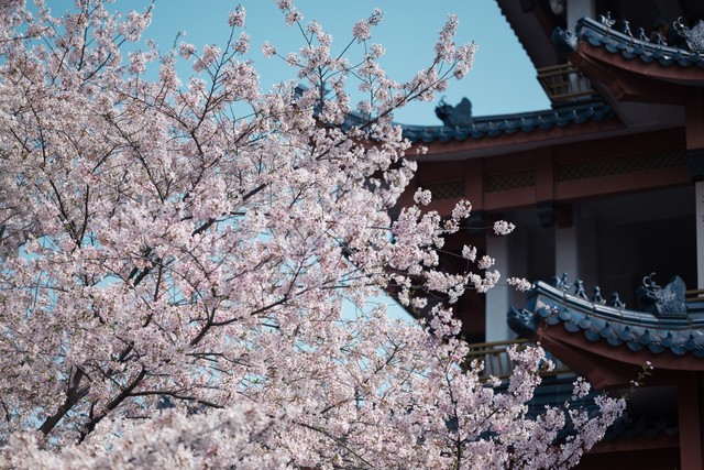 关键球被帽！小瓦格纳：这不是最好的选择 小莫布里的防守很出色-