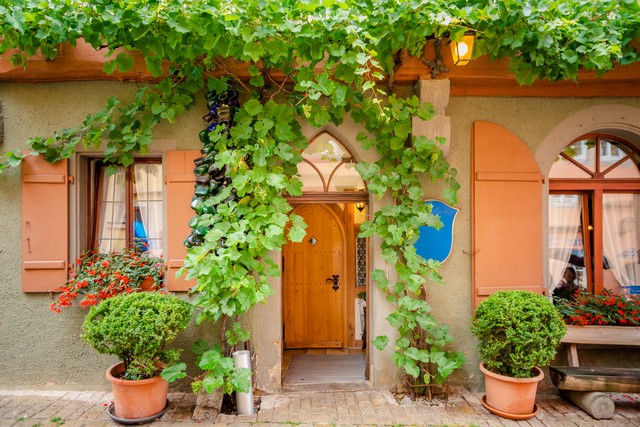 芭蕉直播截图预览0