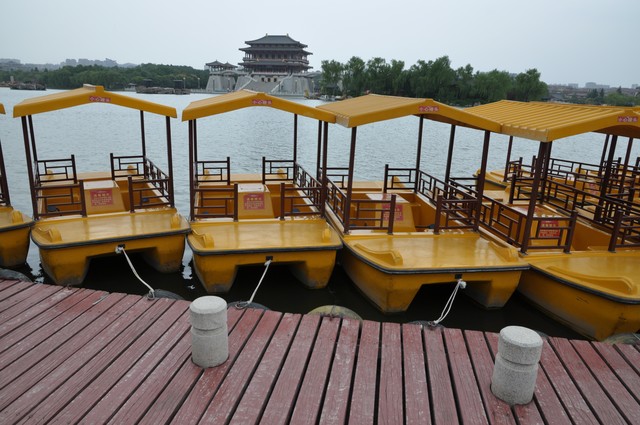 雪妮直播截图预览4