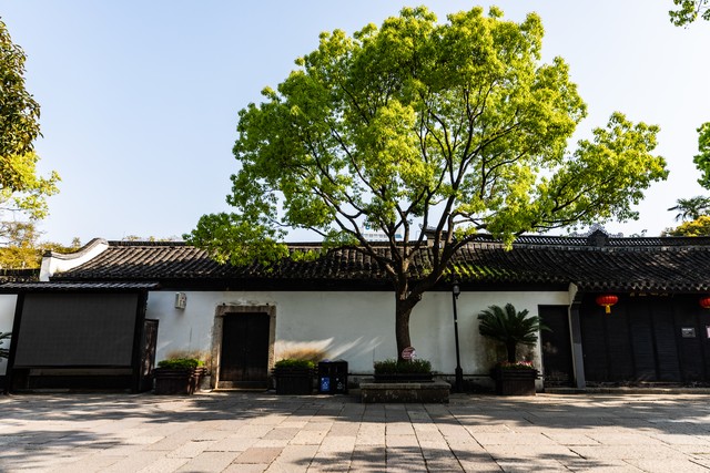先进分析系统