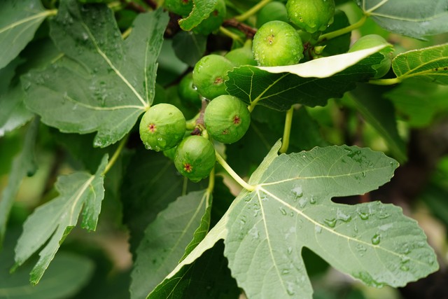 马克西绝平三分前尼克斯没犯规！巴克利：这是个愚蠢的舉动-
