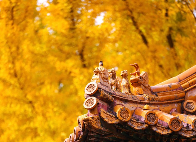 日记：尼克斯试探了布克离队的兴趣 但他目前仍坚定想留在太阳-