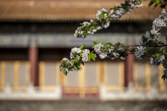 云编程器