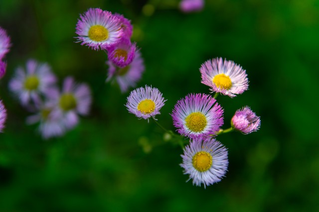 小久直播截图预览0