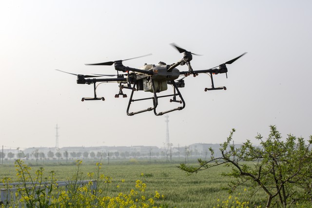 香女直播截图预览3