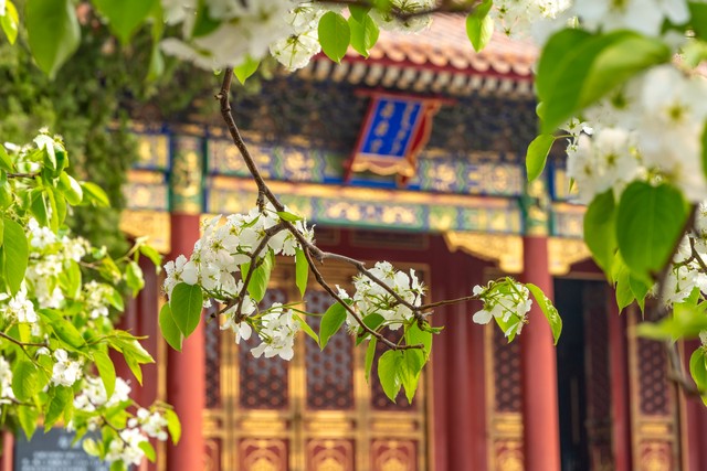 夜人直播截图4