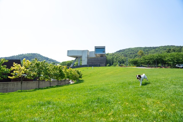 极速学习解决方案