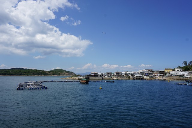 三点直播