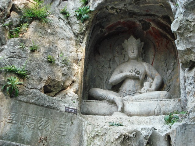 狼人直播