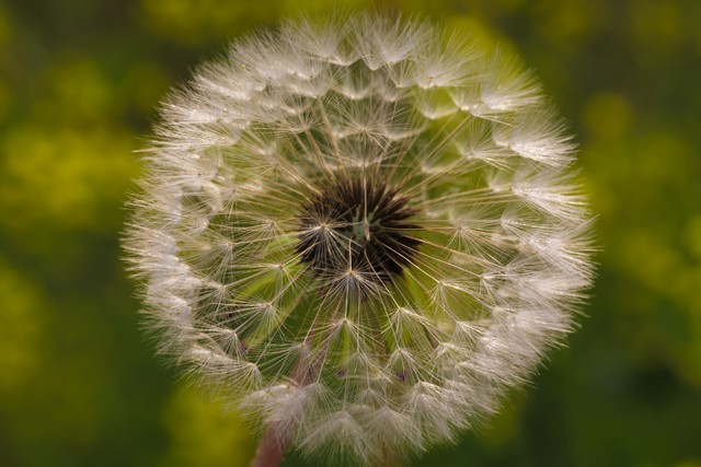 智能监控解决方案
