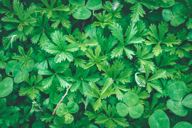 琪琪直播截图预览1