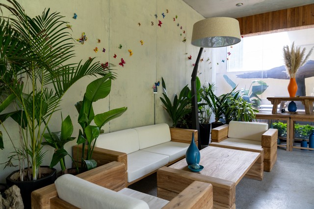 井空直播截图预览3