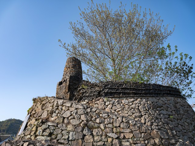 夜狼直播截图预览0