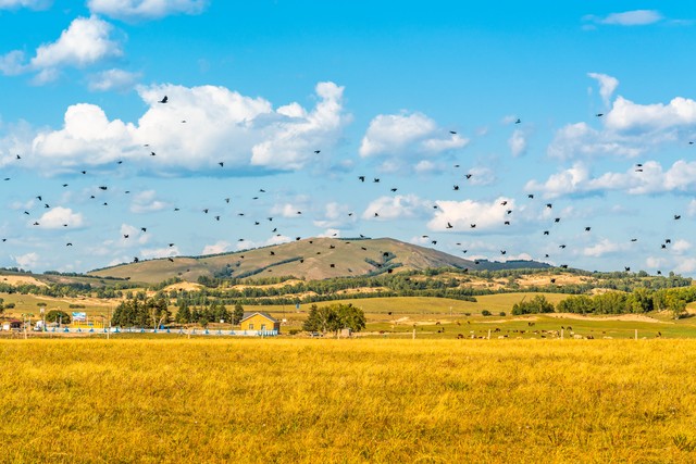 秀兜直播截图预览3