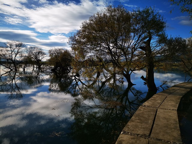 9秀直播截图预览0