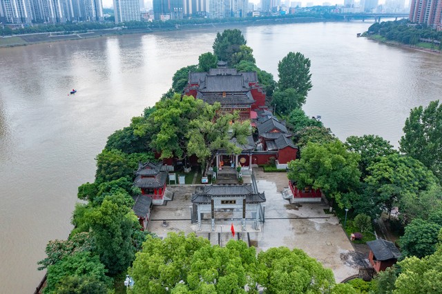 小鹰直播