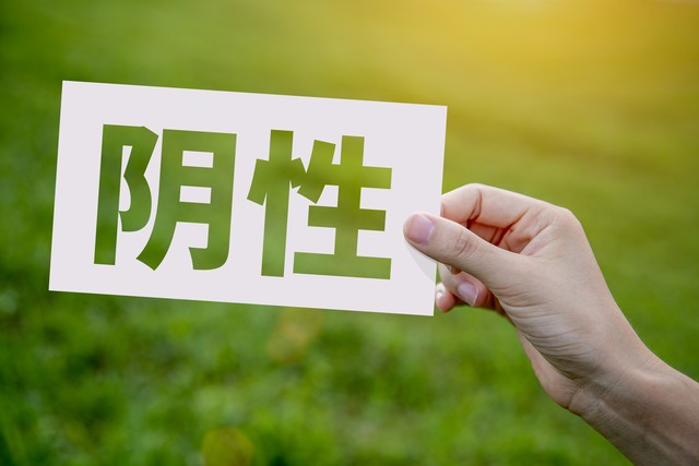 实用备份站