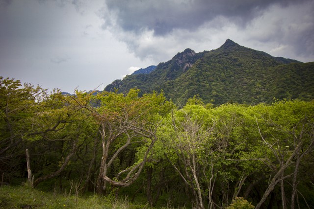 鳝鱼直播截图预览3