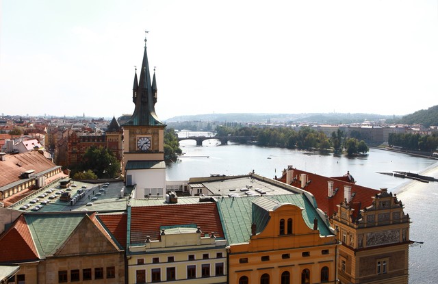 绿姿直播截图预览3