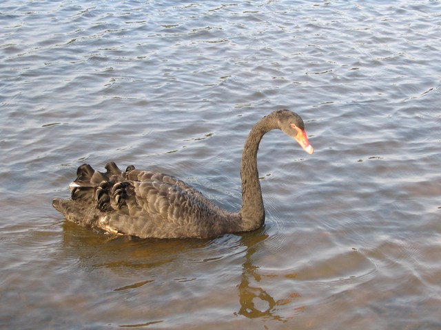 诱色直播截图预览2