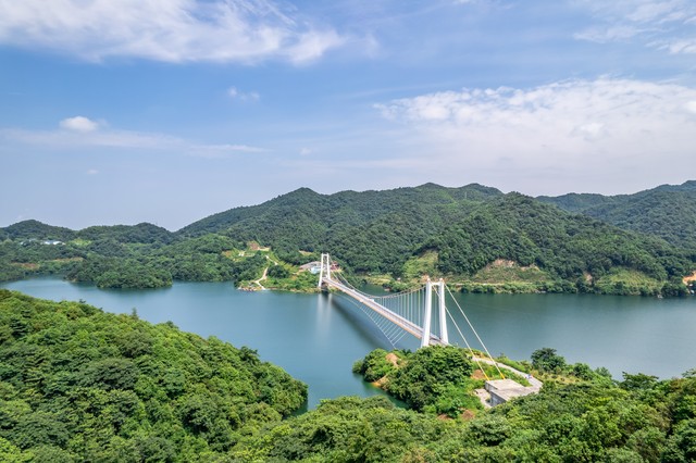 先进保护软件