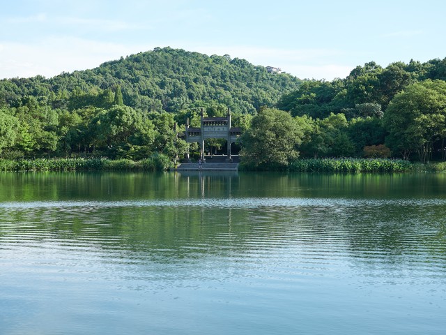 红海直播截图0