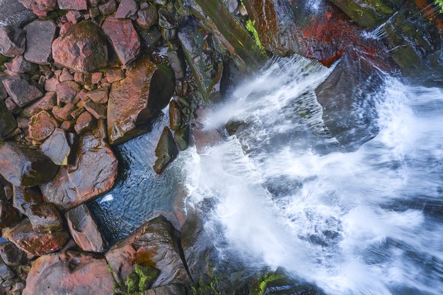 凤蝶直墦截图预览3