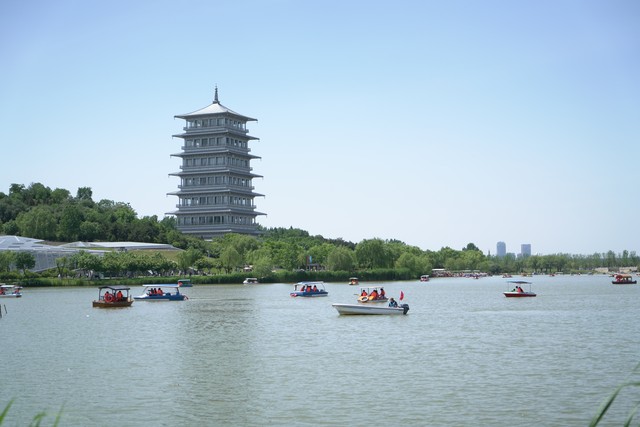艾草直播截图1