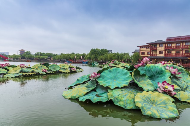 希沃直播截图3