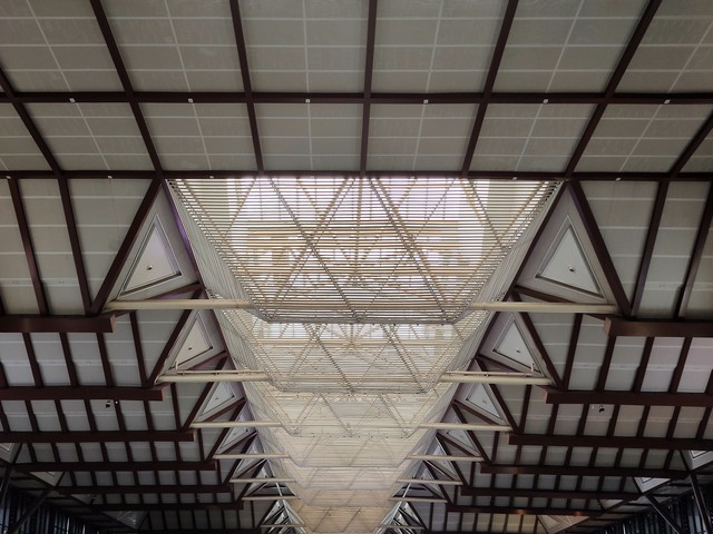 桃柚直播截图预览2