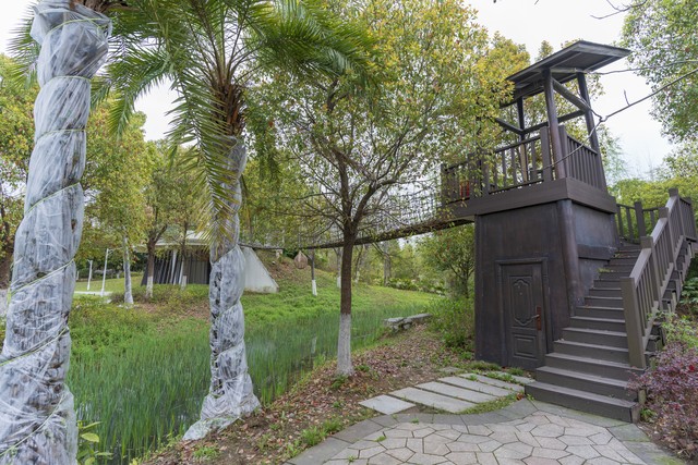 琪琪直播截图预览2