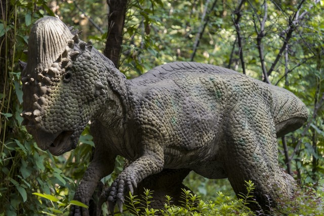 星座直播截图预览2