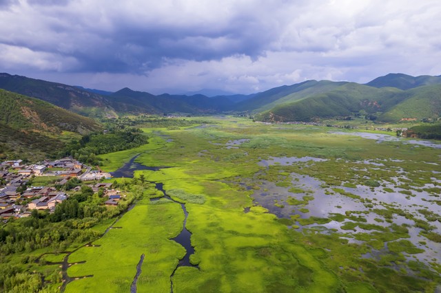 黄裸直播截图预览1