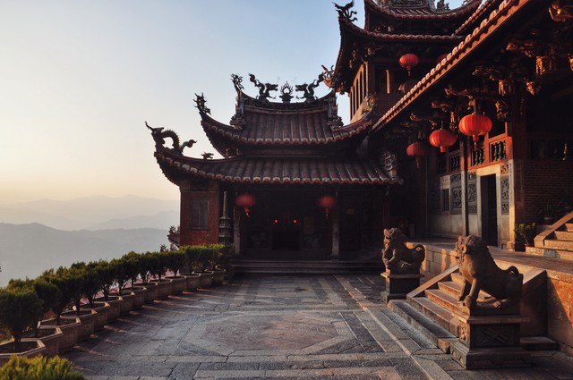 呆鹅直播