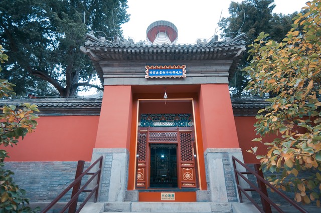 学生直播截图2