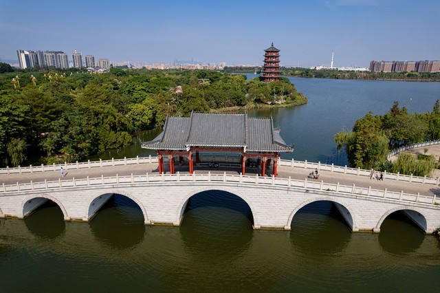 树杏直播截图2